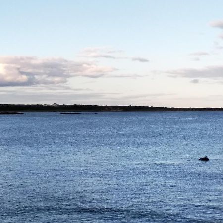 Fishermans Cottage Killough エクステリア 写真