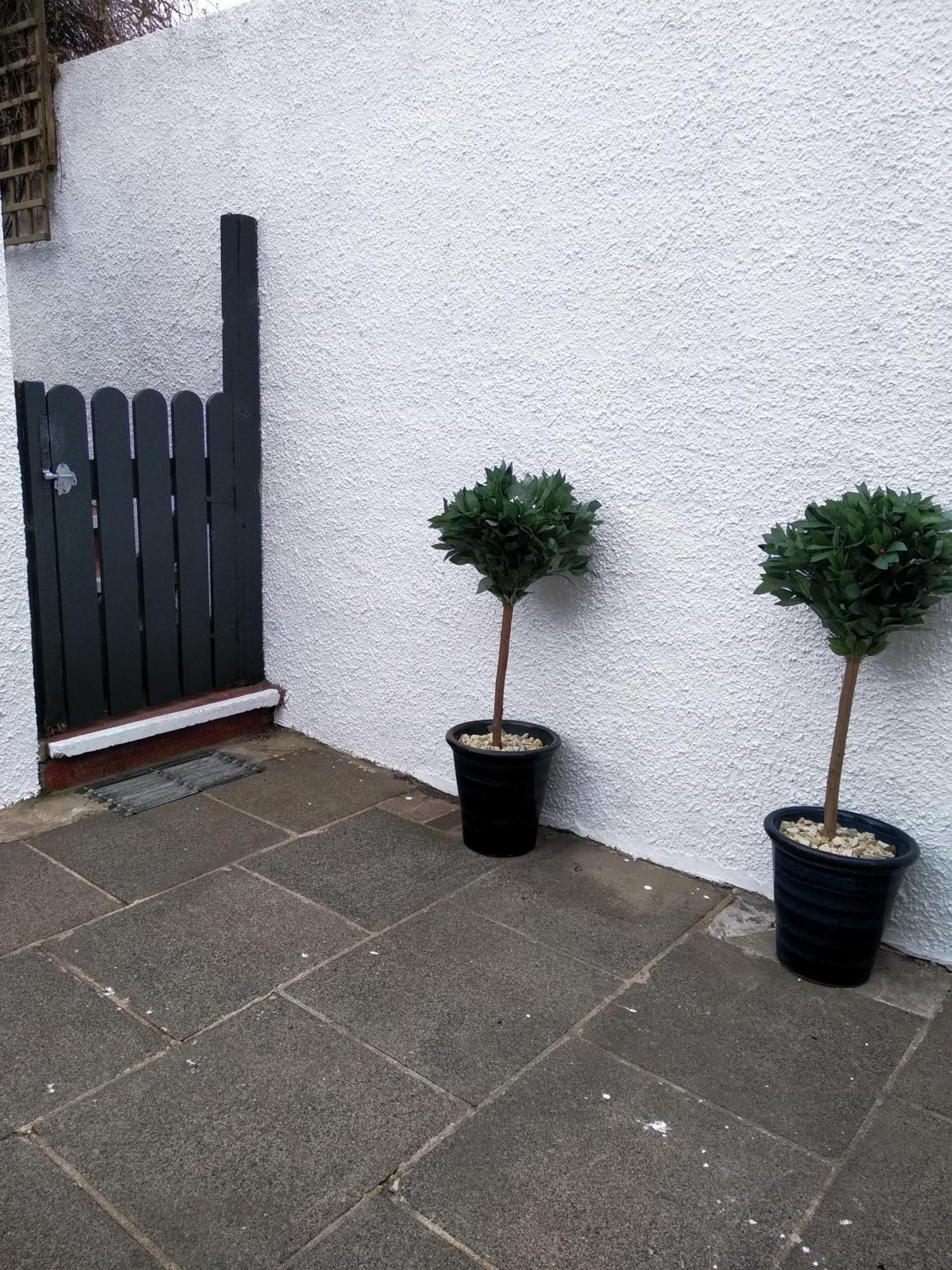 Fishermans Cottage Killough エクステリア 写真
